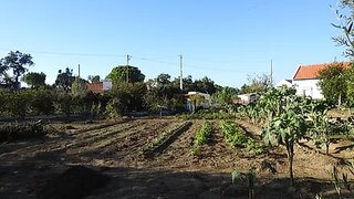 Land for sale in Grândola, Portugal — €650,000