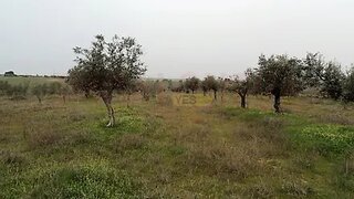 Land for sale in Mourão, Portugal — €100,000