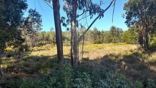 Land for sale in Alcobaça, Portugal — €15,000