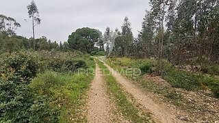 Land for sale in Vila Nova da Barquinha, Portugal — €54,000