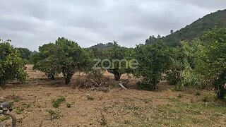 Land for sale in Silves, Portugal — €59,000