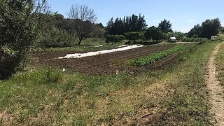 Terreno para venda em Santiago do Cacém, Portugal — 266 000 €
