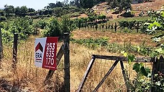 Terreno · 12 680 m² · 37 000 €