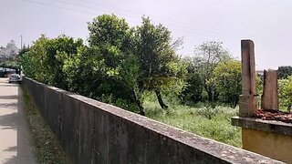 Land for sale in Albergaria-a-Velha, Portugal — €29,500