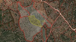 Land for sale in Torres Novas, Portugal — €6,350