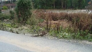 Land for sale in Oliveira do Bairro, Portugal — €52,500