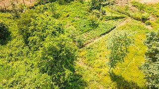 Land for sale in Marco de Canaveses, Portugal — €159,900