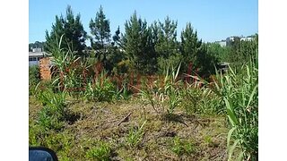 Land for sale in Oliveira do Bairro, Portugal — €400,000