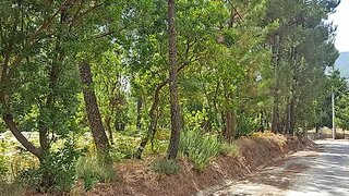 Land for sale in Lamego, Portugal — €45,000