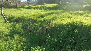 Terreno para venda em Águeda, Portugal — 26 000 €