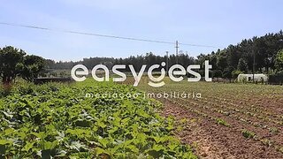 Land for sale in Soure, Portugal — €200,000