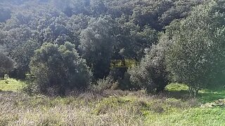 Land for sale in Loulé, Portugal — €20,000