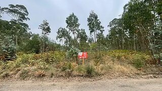 Land for sale in Oliveira do Bairro, Portugal — €17,500