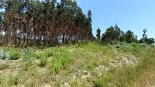 Land for sale in Oliveira do Bairro, Portugal — €70,000