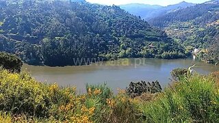 Land for sale in Baião, Portugal — €17,500
