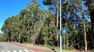 Land for sale in Anadia, Portugal — €220,000