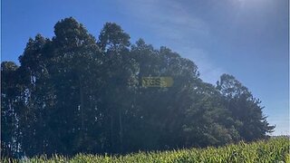 Terreno para venda em Aveiro, Portugal — 85 000 €