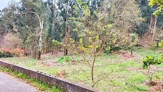 Land for sale in Vila Nova de Cerveira, Portugal — €22,000