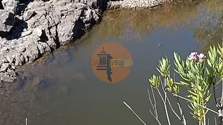Land for sale in Alcoutim, Portugal — €77,500