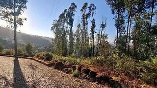 Land for sale in Santo Tirso, Portugal — €44,900