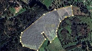 Terreno para venda em Nelas, Portugal — 29 990 €