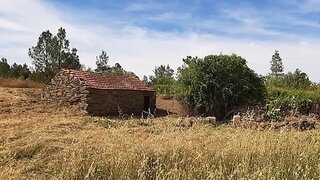 Land for sale in Castelo Branco, Portugal — €59,000
