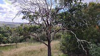 Land for sale in Vila Velha de Ródão, Portugal — €13,000