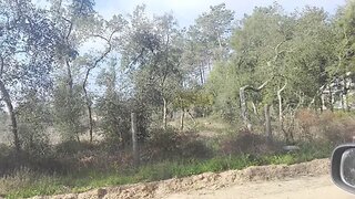 Land for sale in Salvaterra de Magos, Portugal — €70,000