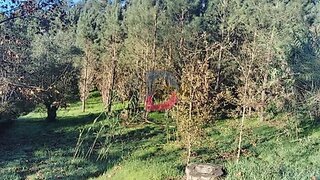 Land for sale in Leiria, Portugal — €70,000