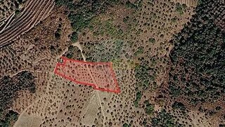 Terreno · 9100 m² · 65 000 €