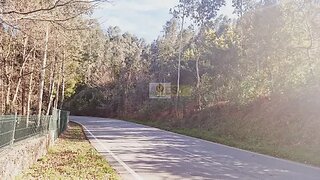 Land for sale in Sever do Vouga, Portugal — €15,600