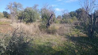Land for sale in Loulé, Portugal — €26,000
