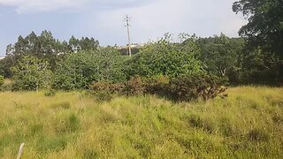 Land for sale in Alcobaça, Portugal — €65,000