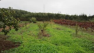 Land for sale in Figueira da Foz, Portugal — €16,900
