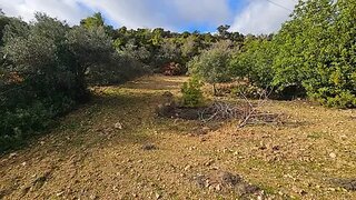 Terreno em Faro · 11 080 m² · 52 500 €