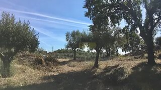 Land for sale in Abrantes, Portugal — €70,000