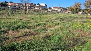 Land for sale in Monção, Portugal — €170,000