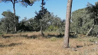 Land for sale in Sesimbra, Portugal — €480,000
