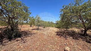 Land for sale in Silves, Portugal — €80,000