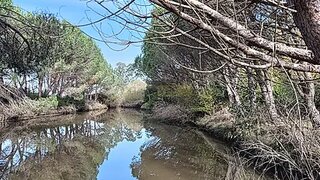 Land for sale in Vagos, Portugal — €85,000