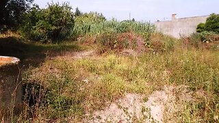 Terreno de 900 m² em Coimbra