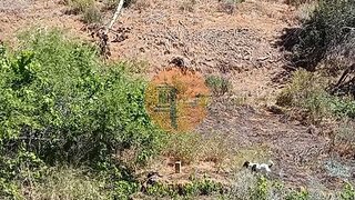 Land for sale in Castro Marim, Portugal — €9,000