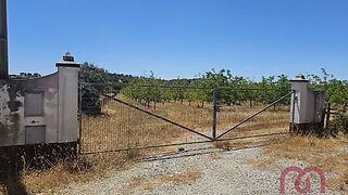 Terreno em Estremoz