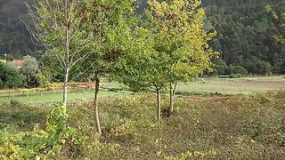 Land for sale in Caminha, Portugal — €32,000