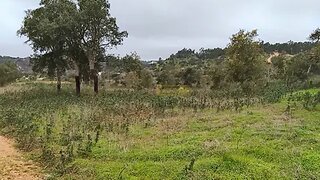 Land for sale in Odemira, Portugal — €220,000