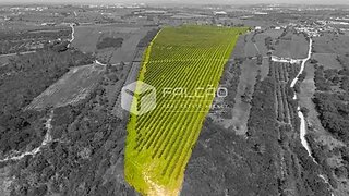 Terreno em Santarém · 186 240 m² · 650 000 €