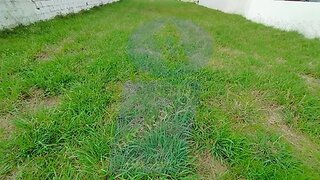 Land for sale in Anadia, Portugal — €40,000