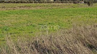 Land · 9,500 m² · €28,500