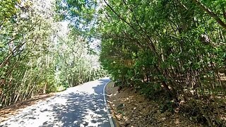 Land for sale in Santo Tirso, Portugal — €43,000