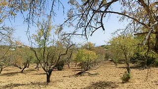 Land for sale in Loulé, Portugal — €60,000